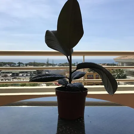 Apartment Nagueles Ii Marbella