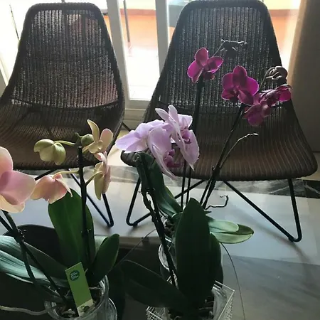 Nagueles Ii 아파트