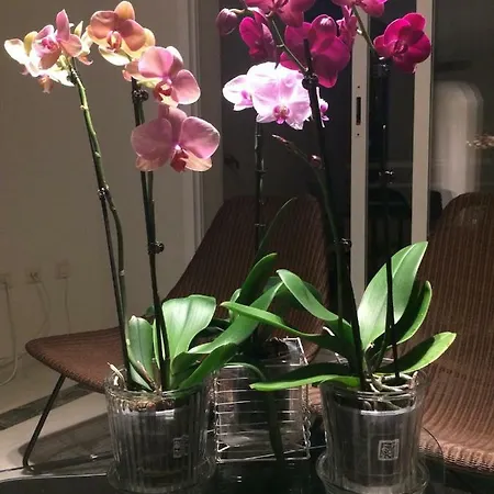 Nagueles Ii Apartamento Marbella